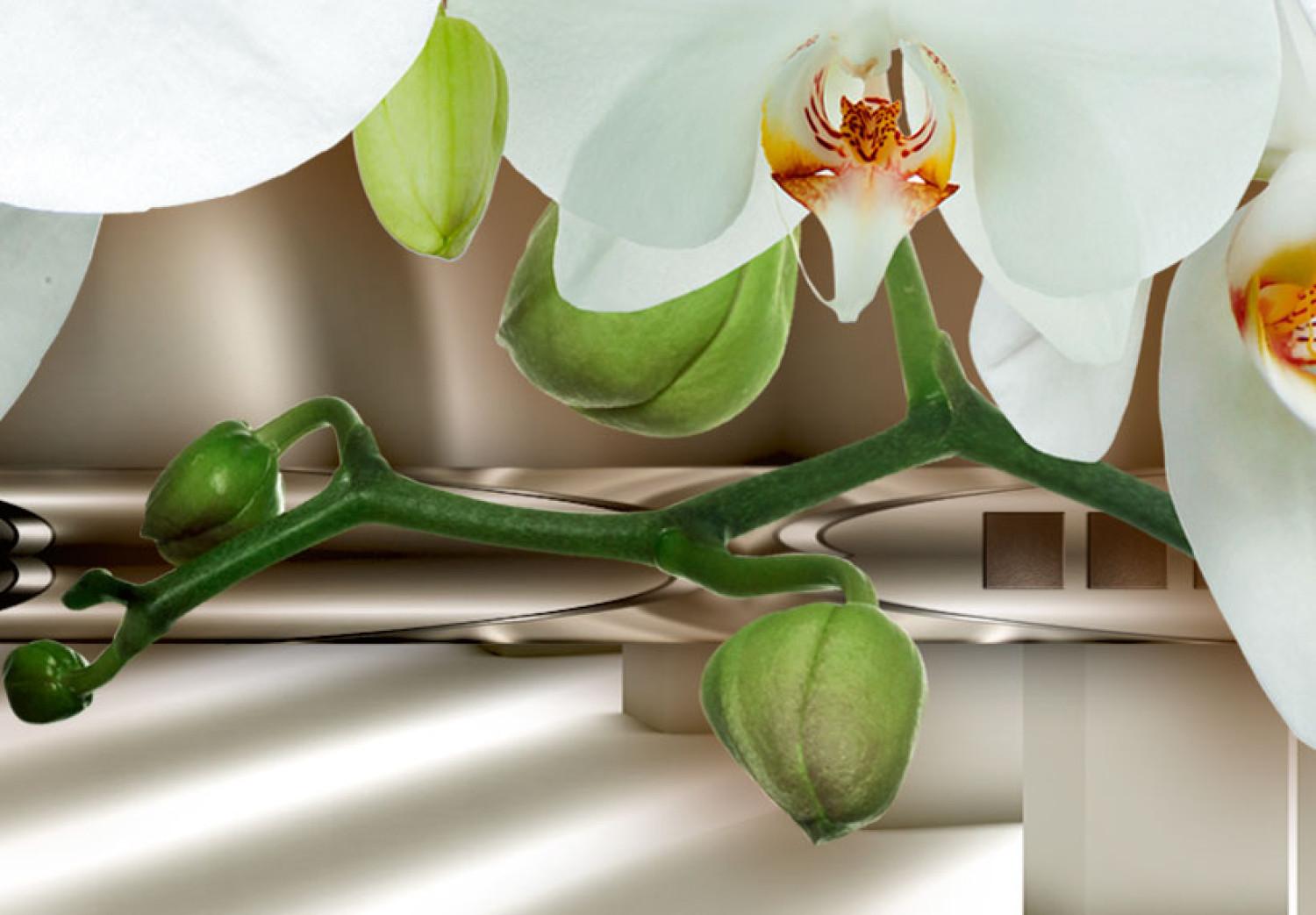Cuadro decorativo Orchid in a Silver Drops