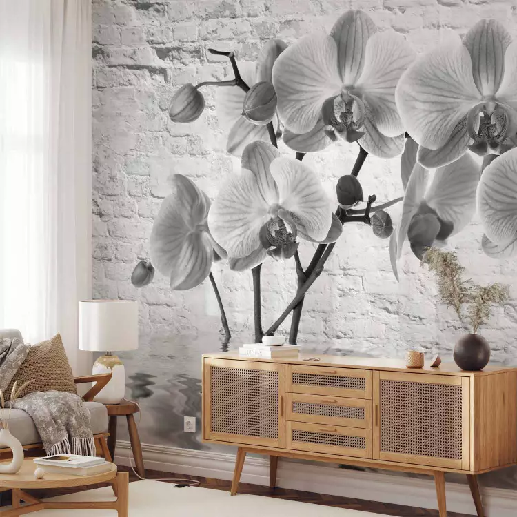 Fotomural decorativo Flores sumergidas - composición de orquídeas en agua sobre un muro