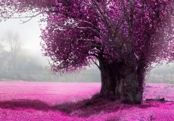 Cuadro Purple Land
