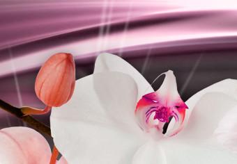 Cuadro moderno Tint of Orchid