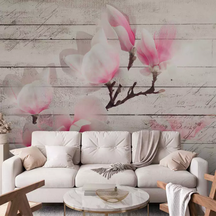 Fotomural Delicadeza de las magnolias - flor blanco-rosada en fondo de tablas