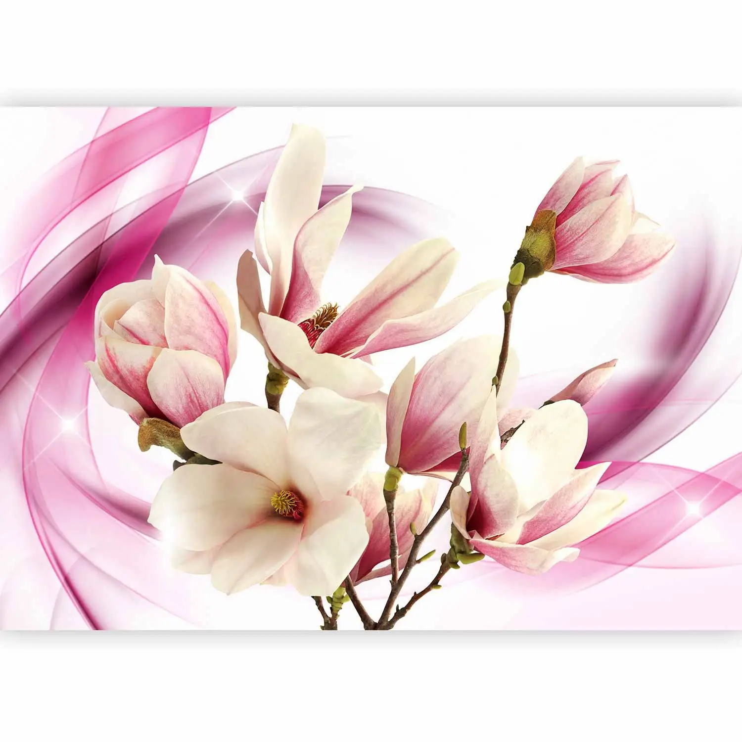 fondo abstracto de flor rosa