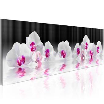 Cuadro moderno Orchids In Water