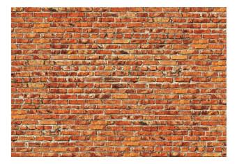 Fotomural a medida Brick Wall