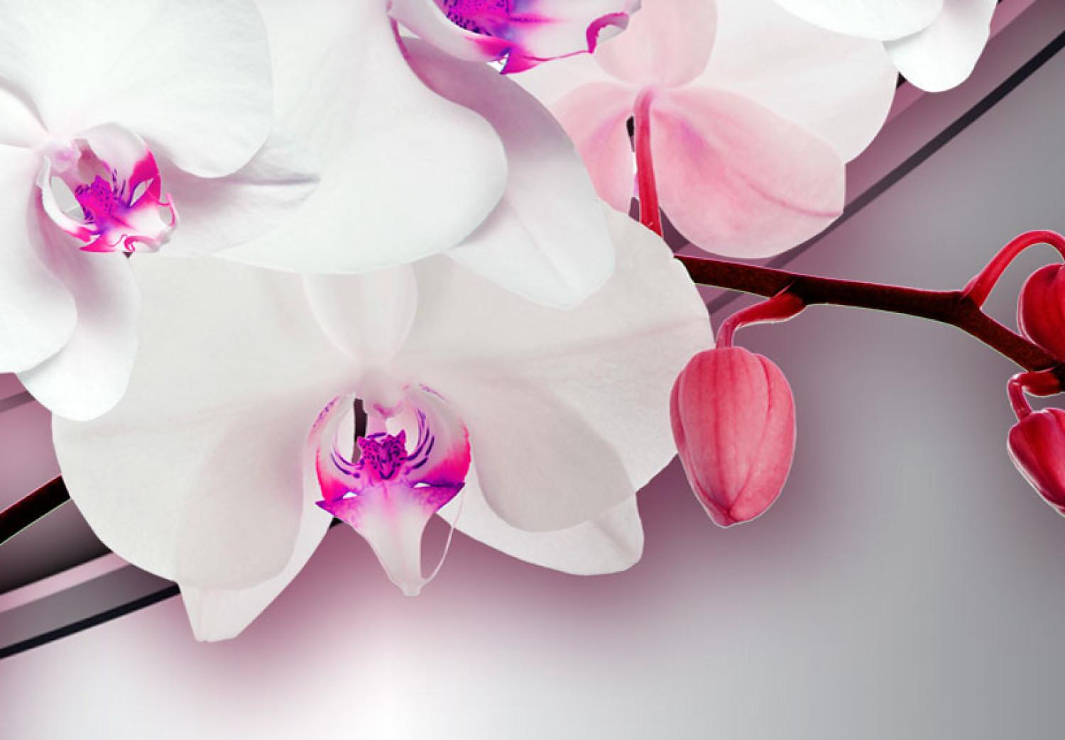 Cuadro decorativo Canción de la orquídea