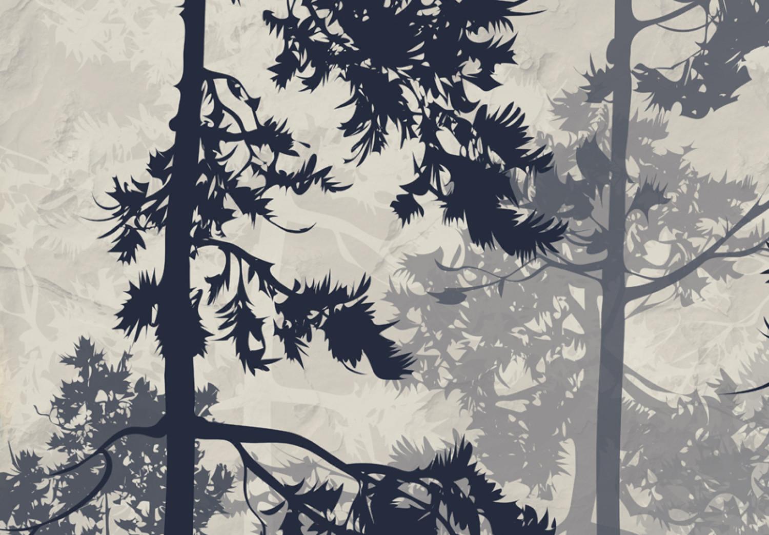 Cuadro moderno Forest In Fog