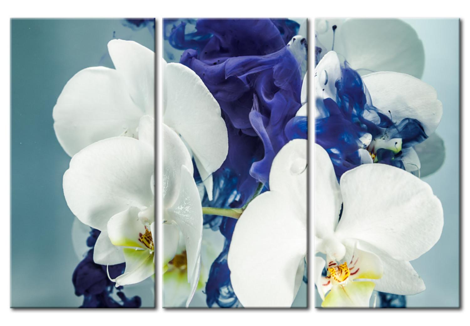 Cuadro decorativo Chimerical orchids