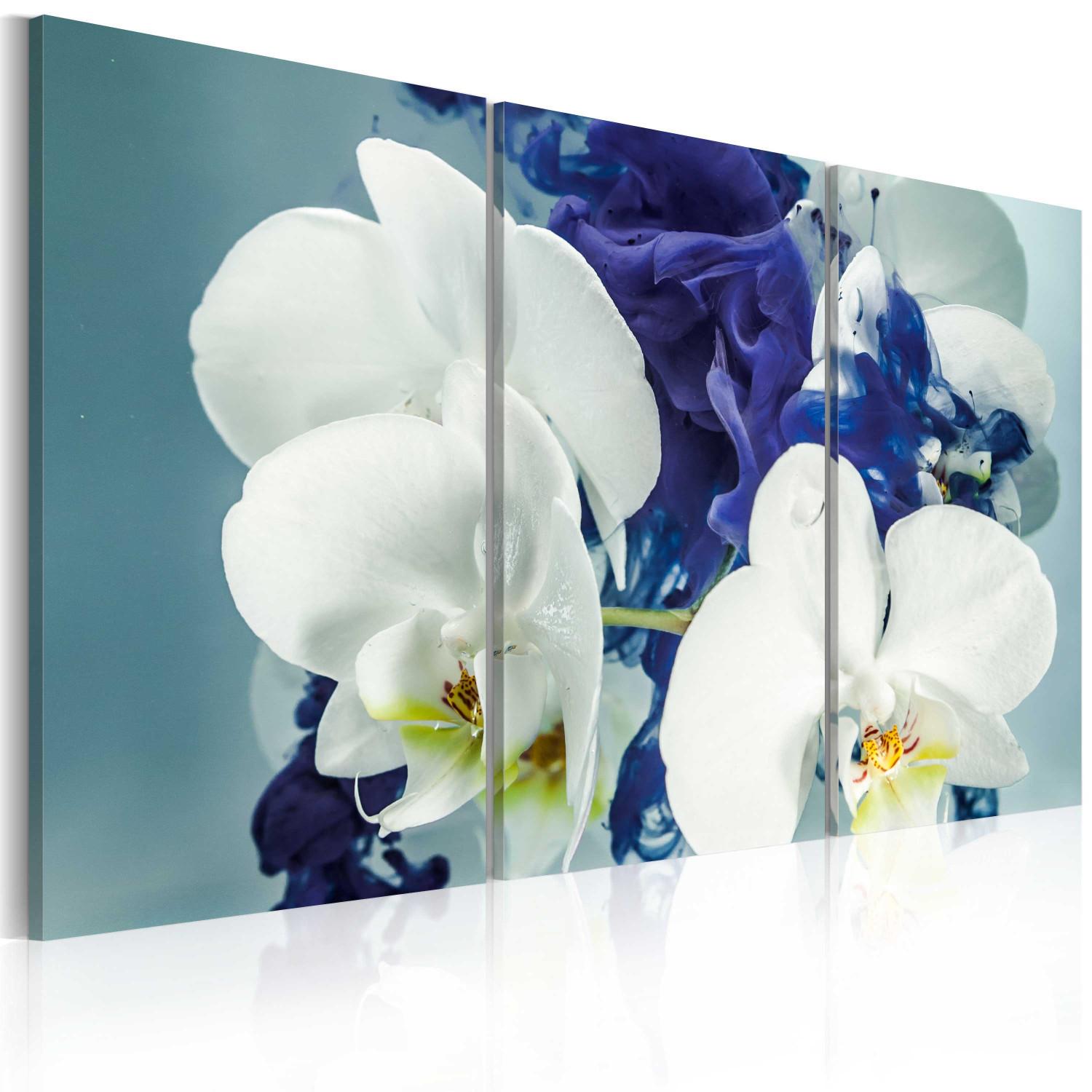 Cuadro decorativo Chimerical orchids