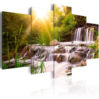 Cuadro decorativo Forest Waterfall