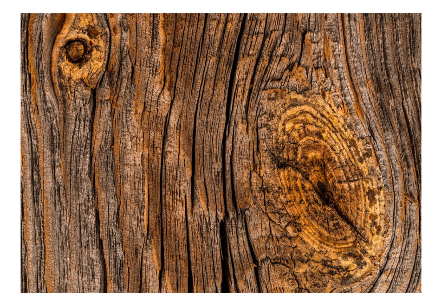 Fotomural Árbol majestuoso - fondo marrón con textura de corteza áspera