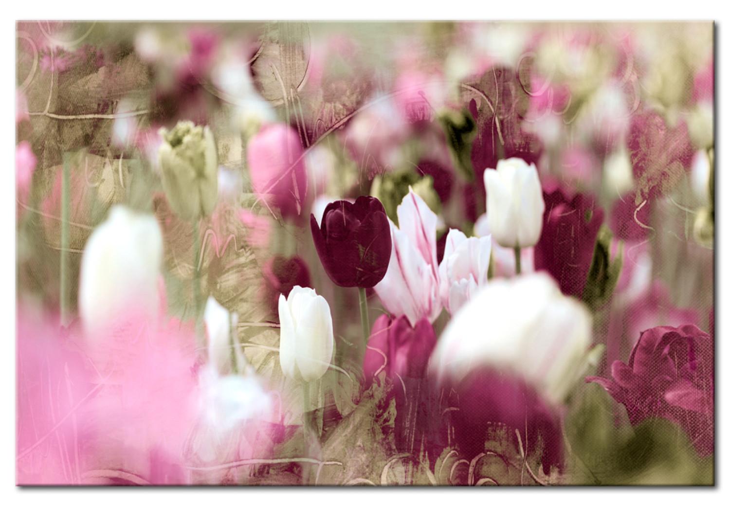 Cuadro decorativo Meadow of Tulips