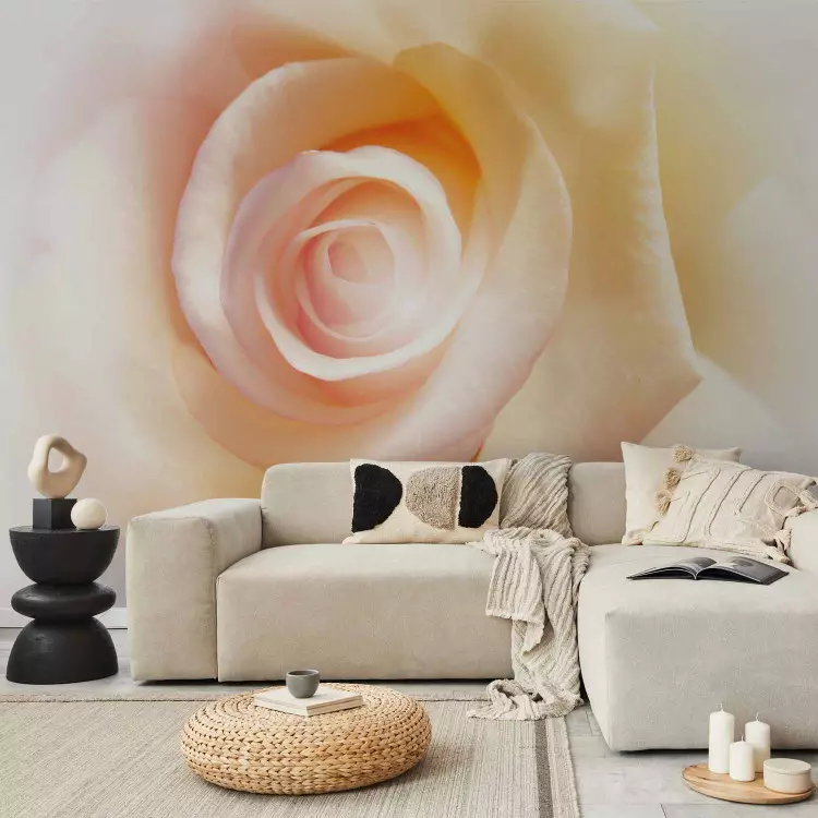 Fotomural Motivo romántico - acercamiento a la flor de rosa en colores delicados