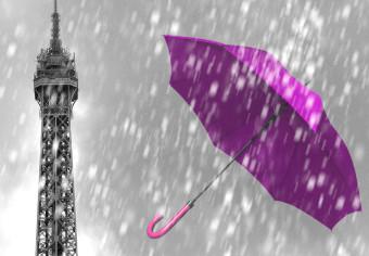Cuadro moderno Paris: Purple Umbrellas