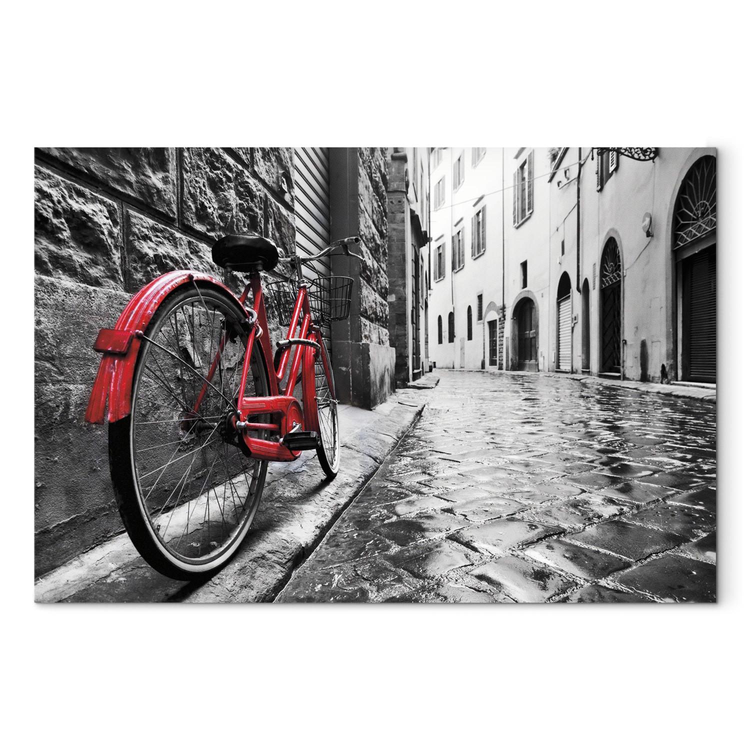 Cuadro Vintage Red Bike