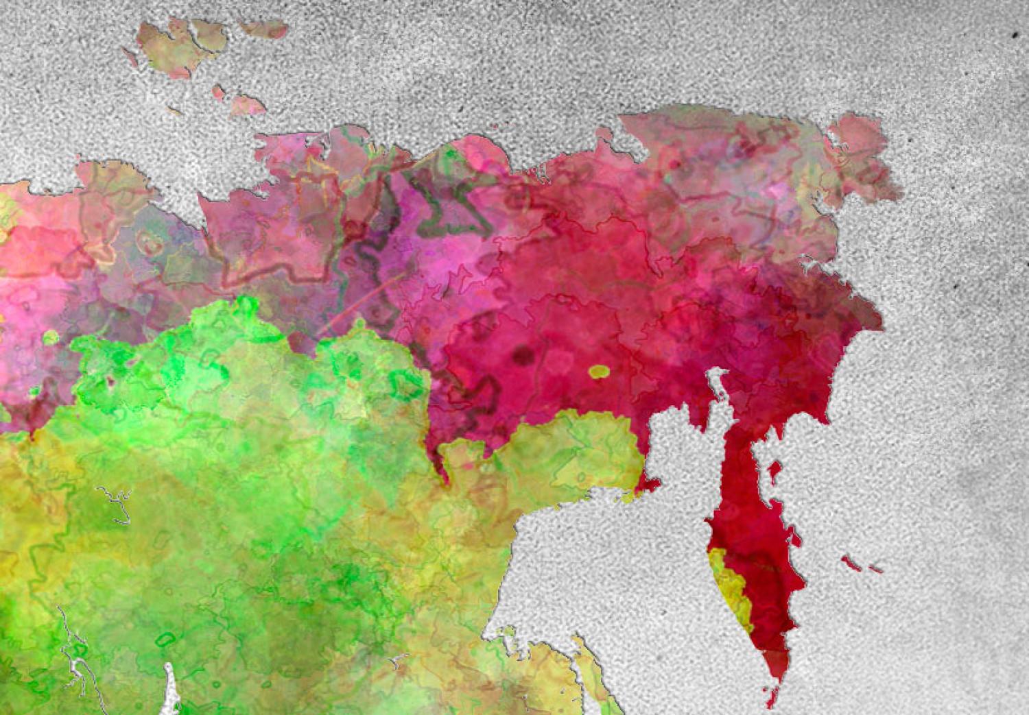Tablero decorativo en corcho Diversity of World [Cork Map]
