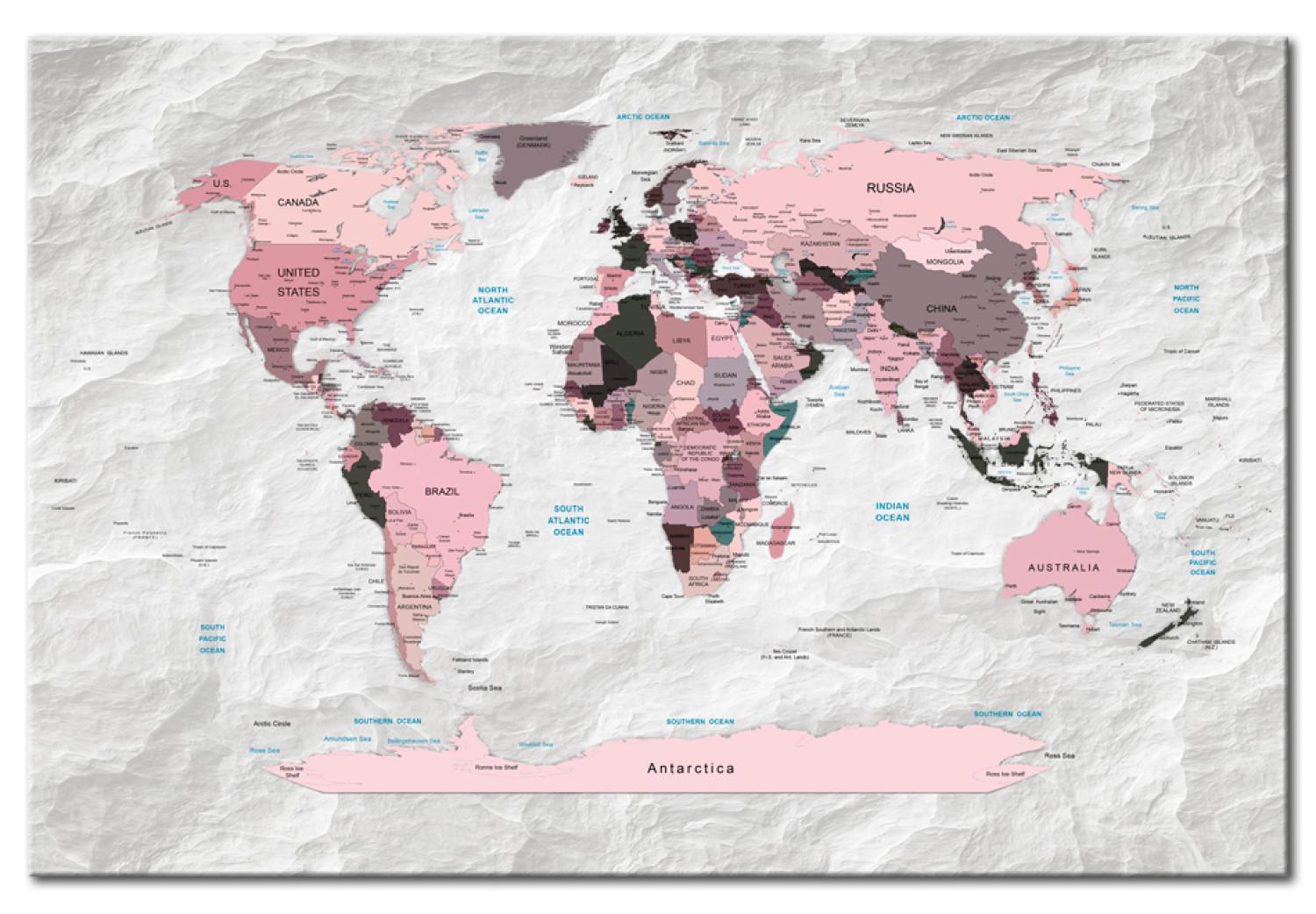 Tablero decorativo en corcho Pink Continents [Cork Map]