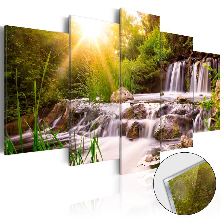 Cuadro acrílico Forest Waterfall [Glass]