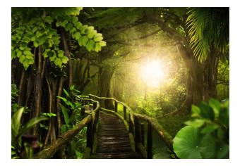 Fotomural a medida Jungla - paisaje verde con bosque tropical y puente al sol