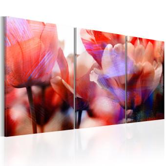 Cuadro Tulipanes de amor (3 piezas) - flores primaverales de colores de cerca