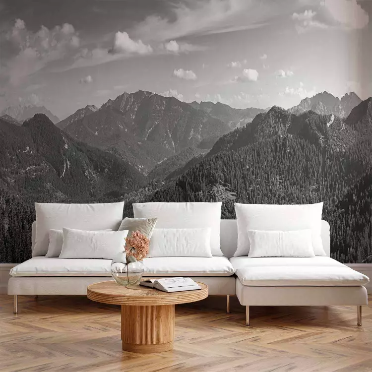 Fotomural Paisaje de montaña en blanco y negro - paisaje gris en estilo retro