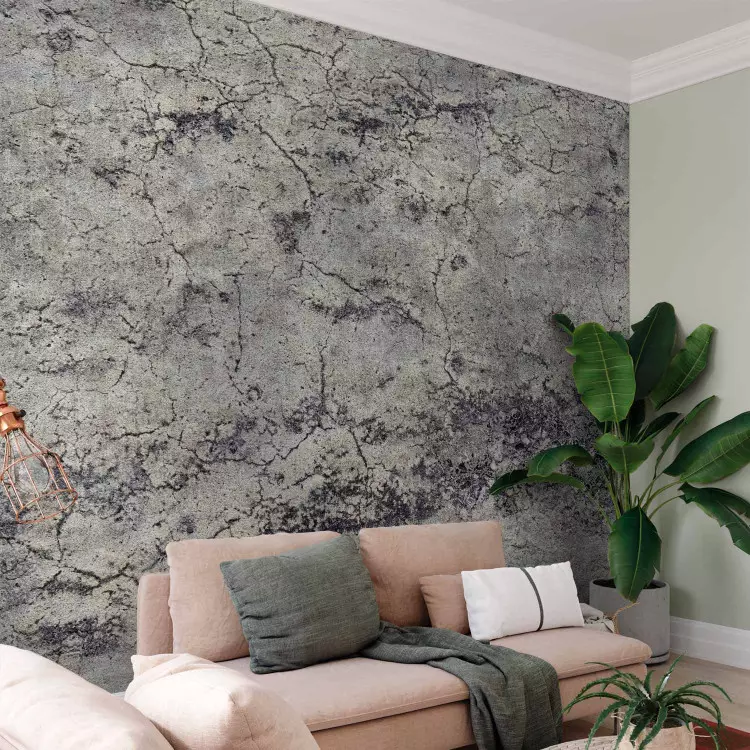Fotomural a medida Dama gris - fondo minimalista con textura de cemento y grietas