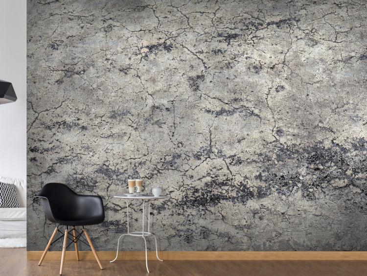 Fotomural Dama gris - fondo minimalista con textura de cemento y grietas