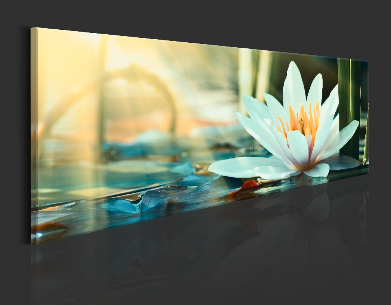 Gráfico en el vidrio acrílico The Lake of Lotus [Glass]