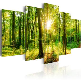 Cuadro moderno Historia del bosque (5-pieza) - luz entre árboles