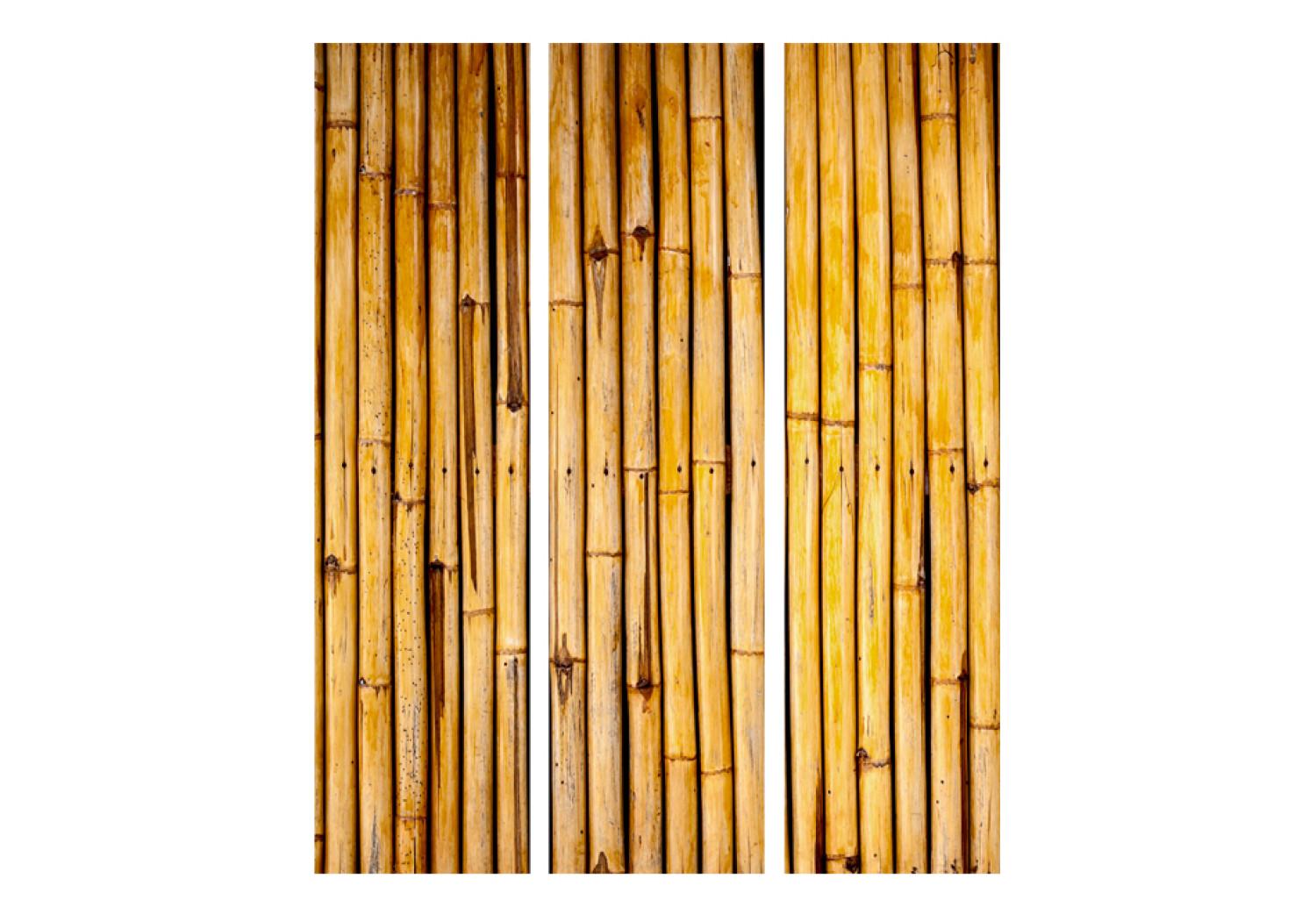 Biombo original Bamboo Garden [Room Dividers]