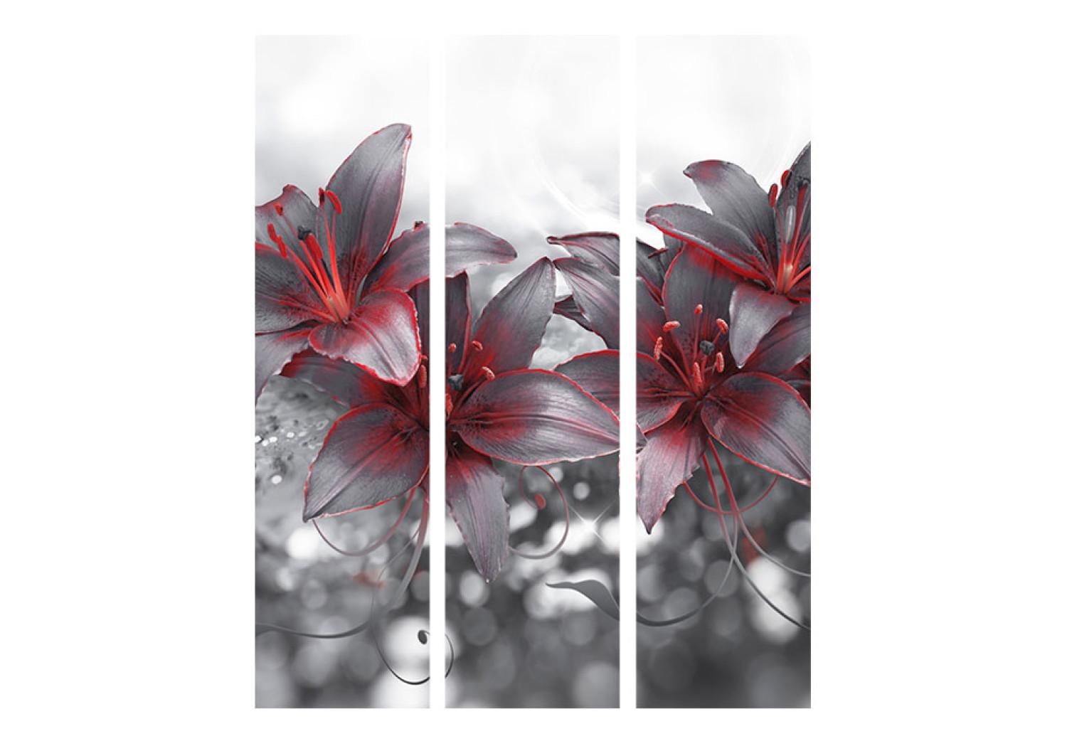 Biombo barato Sombra pasión - flor con colorido