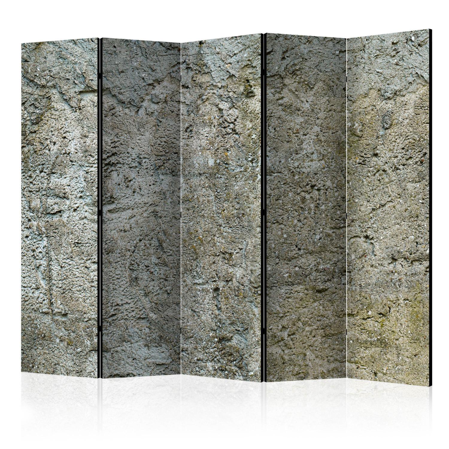Biombo Presa de piedra II - textura de piedra gris urbana