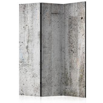 Biombo barato Emperador gris - textura arquitectónica en cemento gris