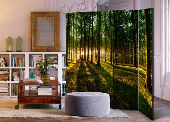 Biombo decorativo Morning in the Forest II [Room Dividers]