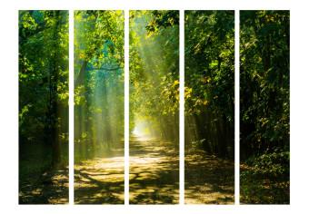 Biombo barato Camino al sol II - paisaje de camino entre árboles y rayos solares