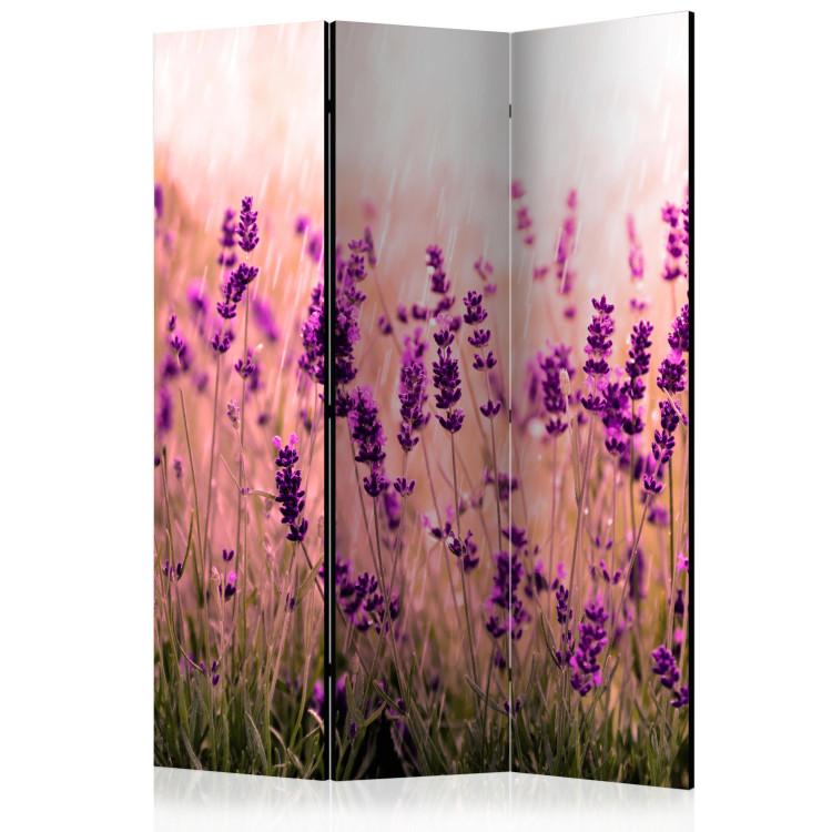 Lavanda bajo lluvia - flores románticas lavanda violeta campo