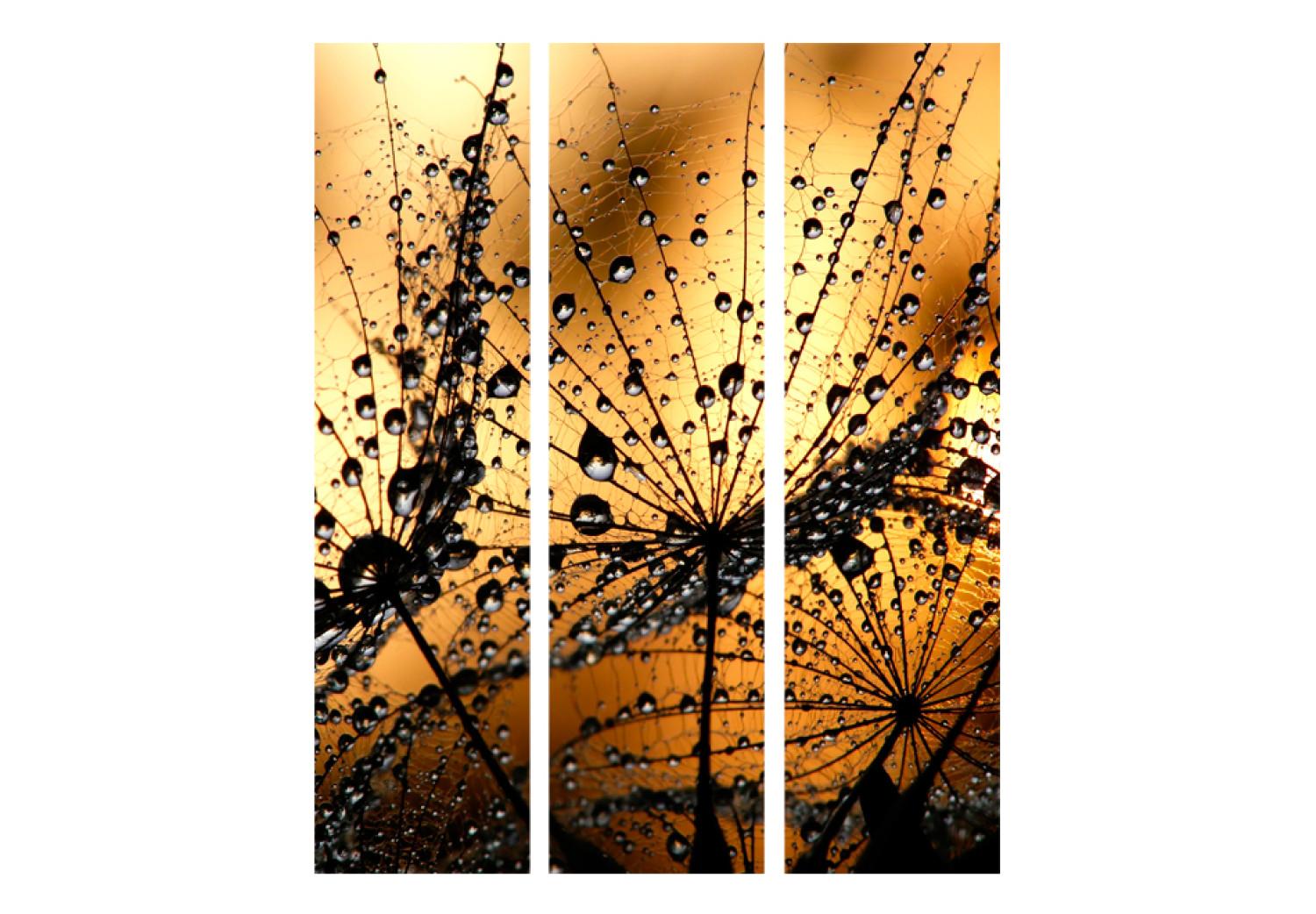 Biombo original Dandelions in the Rain [Room Dividers]
