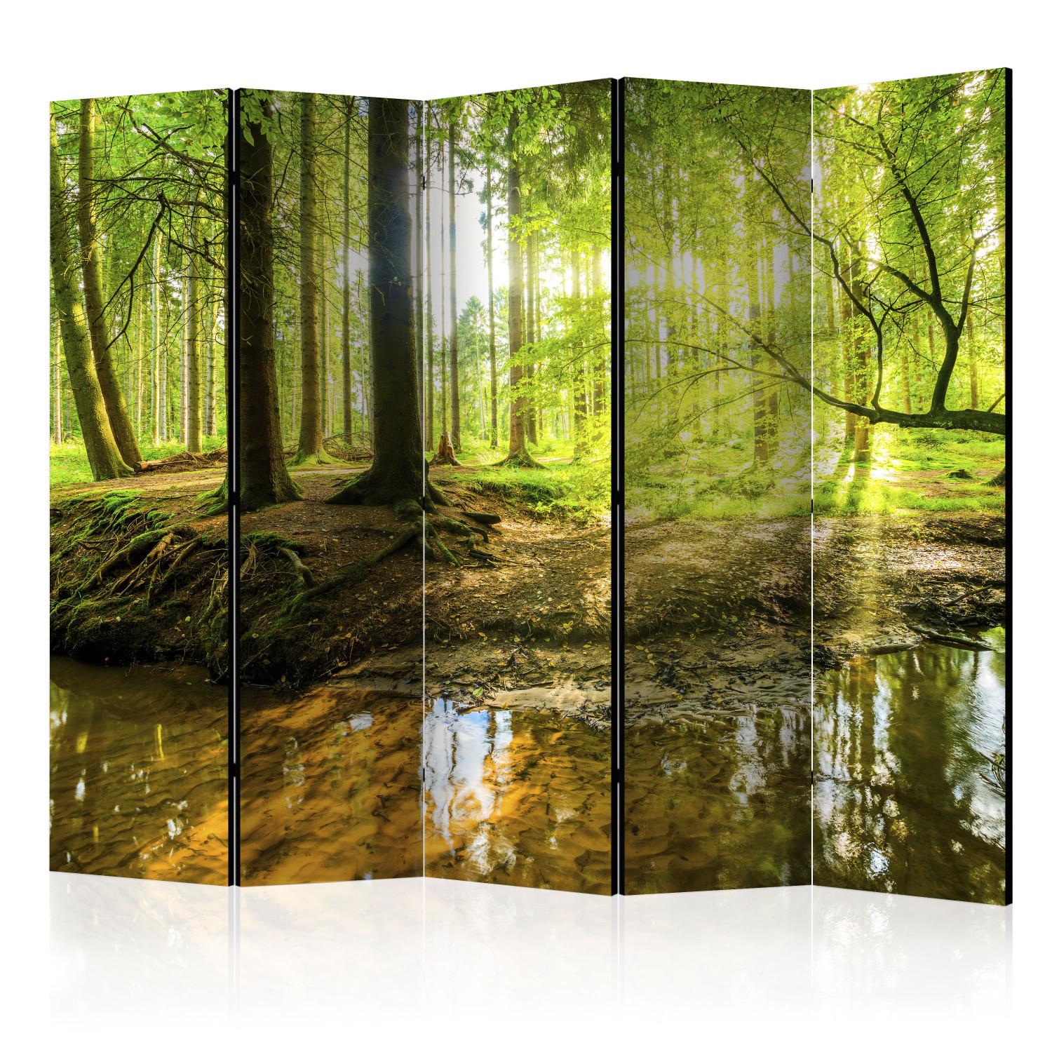 Biombo decorativo Lago del bosque II - paisaje de bosque y agua sobre fondo de luz solar