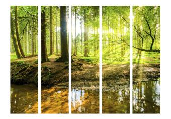 Biombo decorativo Lago del bosque II - paisaje de bosque y agua sobre fondo de luz solar