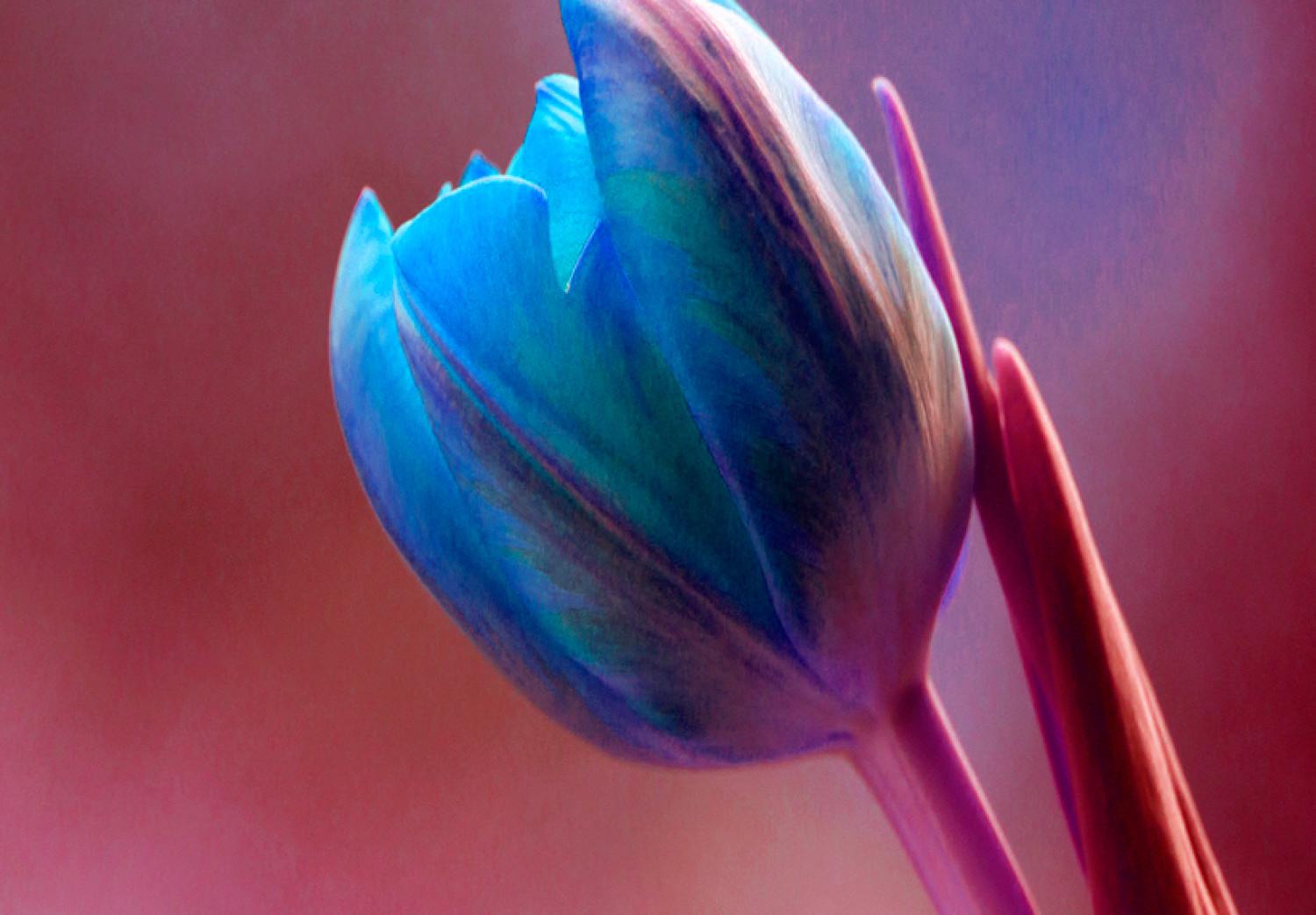 Cuadro moderno Tulipanes enamorados