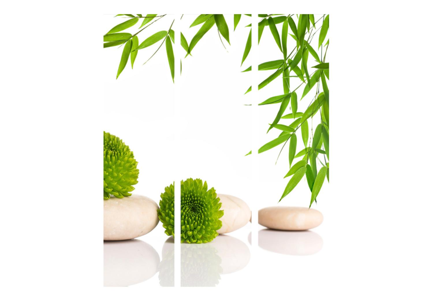 Biombo Green Relax - piedras verdes de estilo Zen y planta sobre fondo blanco