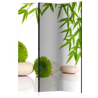 Biombo Green Relax - piedras verdes de estilo Zen y planta sobre fondo blanco
