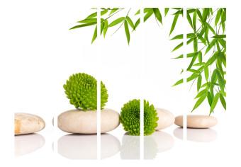 Biombo decorativo Relajación verde II - planta piedras zen fondo blanco