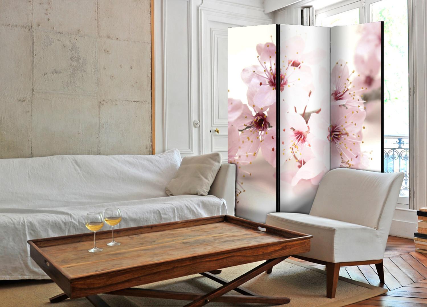 Biombo original Flor de cerezo - planta oriental rosa sobre fondo blanco en estilo Zen