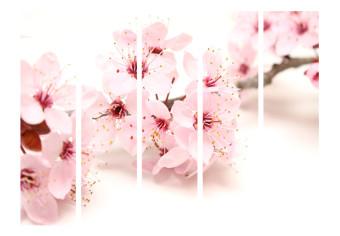 Biombo  Cherry Blossom II [Room Dividers]