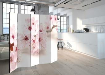 Biombo  Cherry Blossom II [Room Dividers]