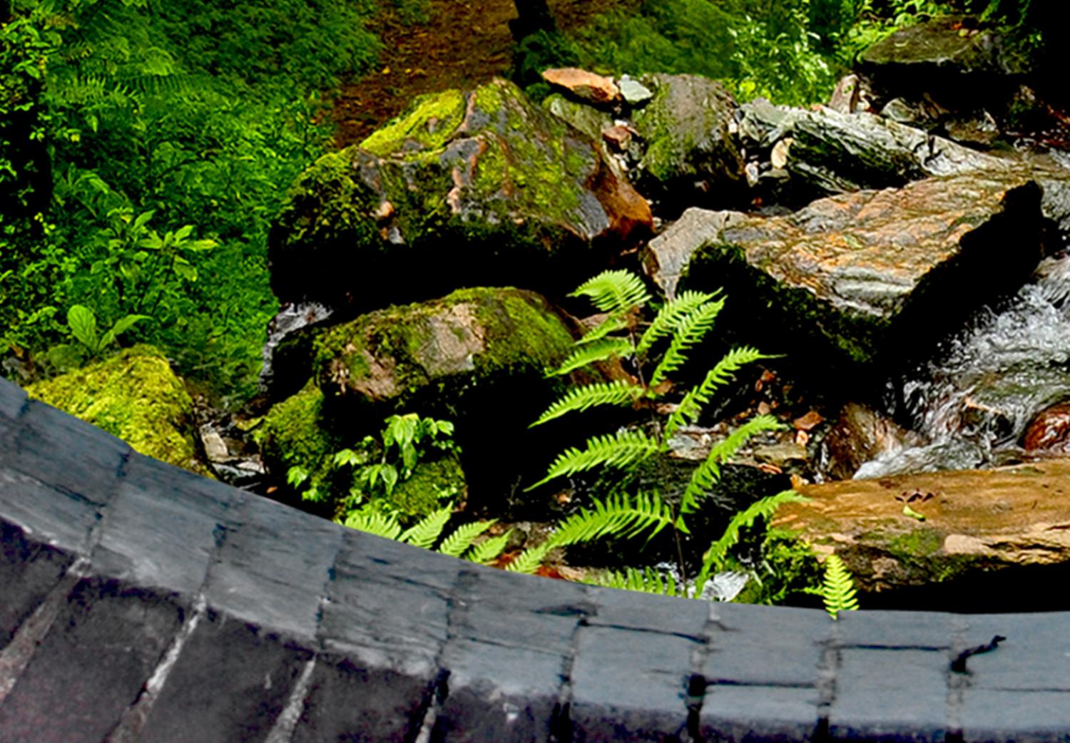 Cuadro decorativo Misterioso paso de piedra (1 parte) - vista del bosque verde