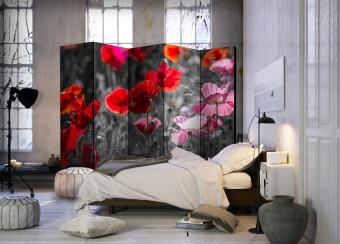 Biombo decorativo Red Poppies II [Room Dividers]
