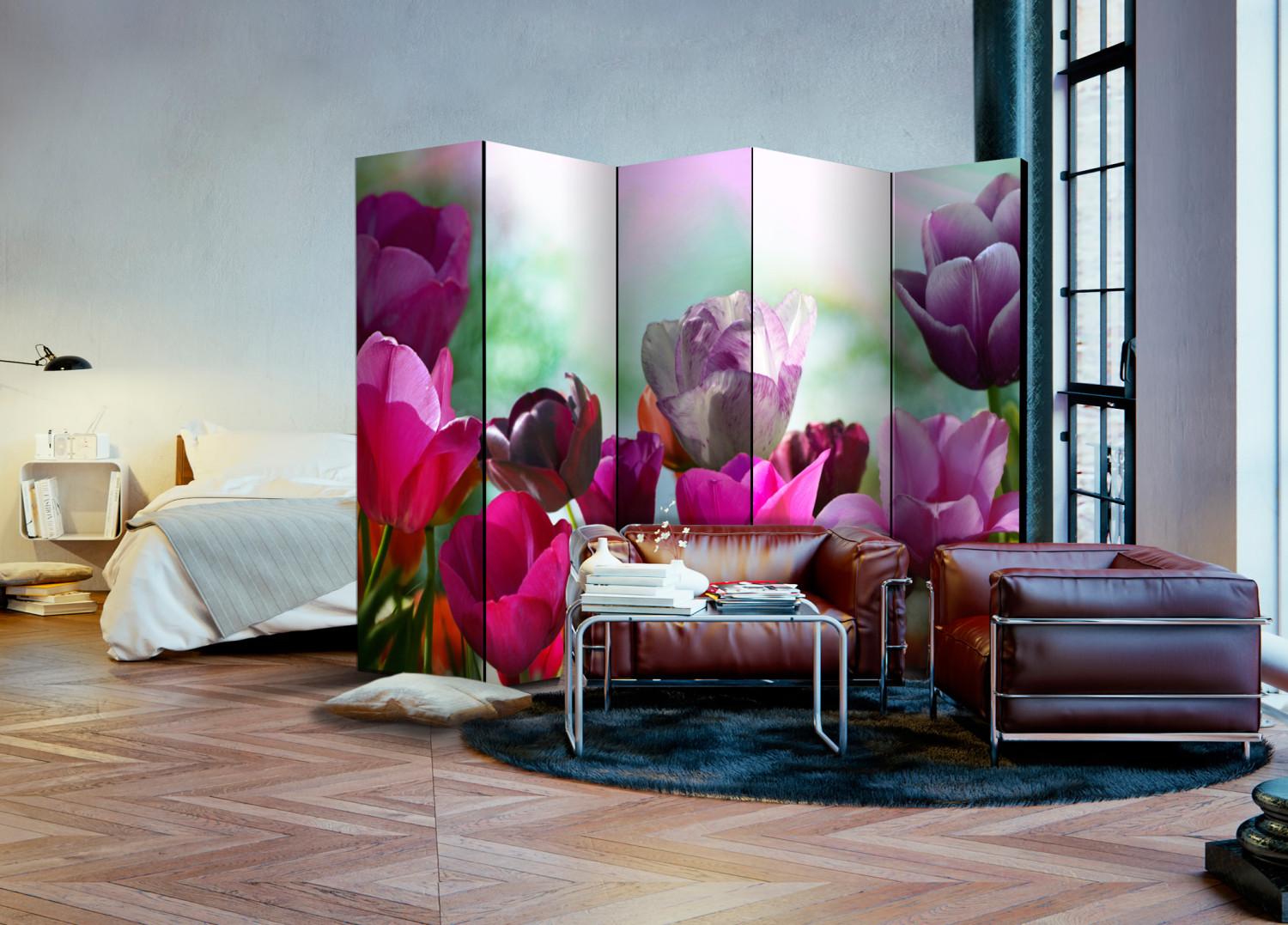Biombo barato Beautiful Tulips II [Room Dividers]