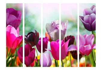 Biombo barato Beautiful Tulips II [Room Dividers]