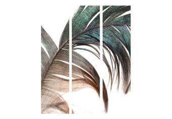 Biombo original Hermosa pluma - pluma colorida sobre fondo blanco en estilo romántico